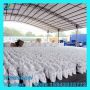 Caustic Soda for Sale Sodium Hydroxide Pearls 99% Factory Supplier
